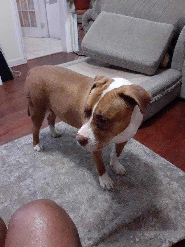Floyd Harbor Animal Hospital