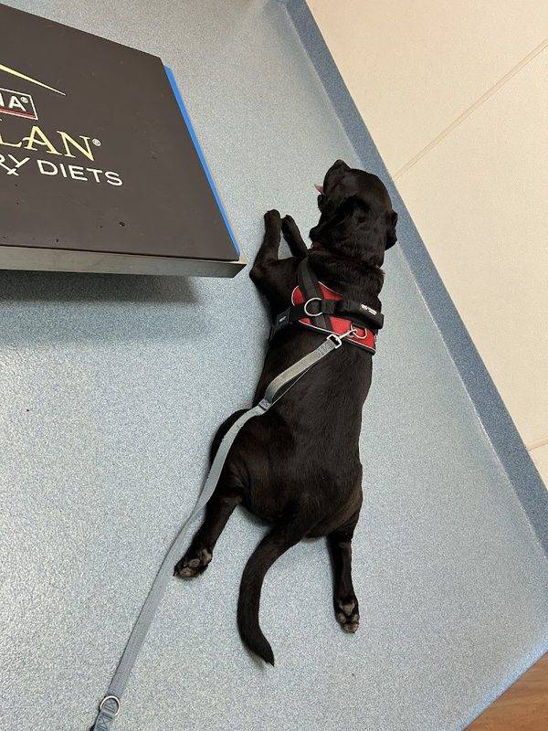 Floyd Harbor Animal Hospital