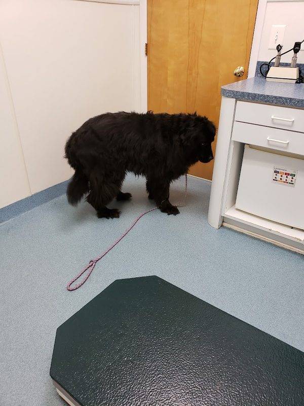 Floyd Harbor Animal Hospital