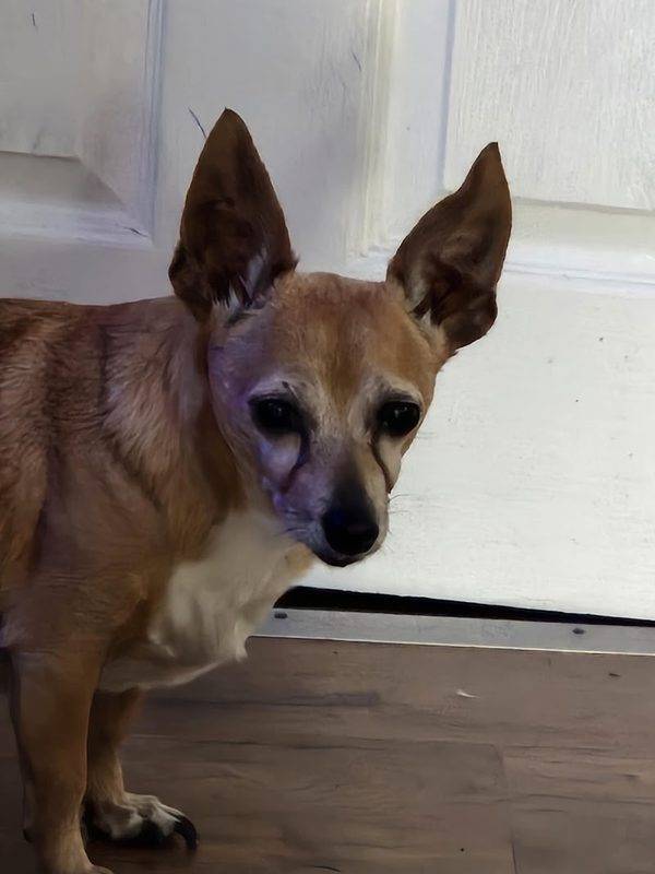 Floyd Harbor Animal Hospital